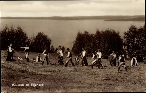 Ak Schweden, Heuernte am Siljansee, Trachten