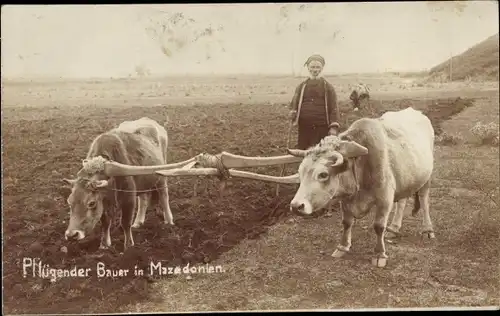 Foto Ak Mazedonien, Bauer mit Ochsenpflug