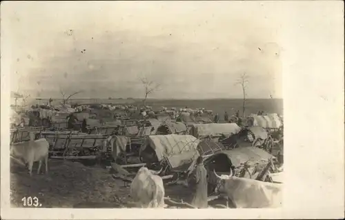 Foto Ak Mazedonien, Serbische Fuhrwerke, I WK