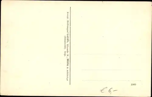 Ak Arildsläge Schweden, Partie am Meer, Boote