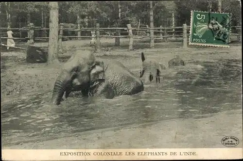 Ak Exposition Coloniale Les Elephants de l'Inde, Indische Elefanten