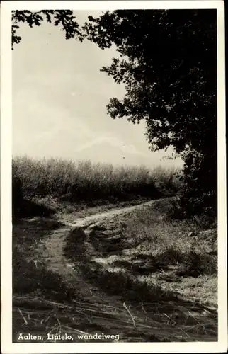 Ak Aalten Gelderland, Lintelo, wandelweg