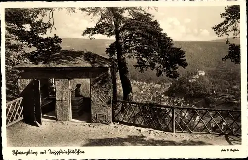 Ak Schwarzburg in Thüringen, Trippsteinhäuschen