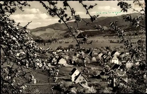 Ak Denzlingen im Breisgau, Blick ins Glottertal