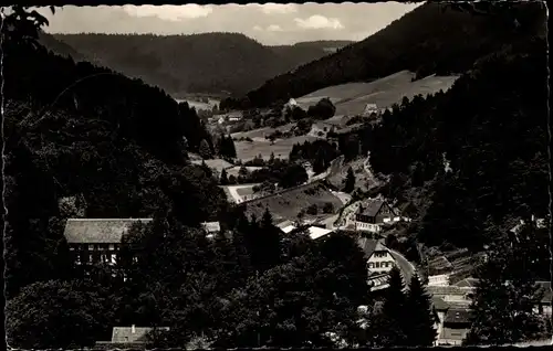 Ak Alpirsbach im Schwarzwald, Panorama