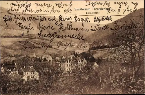 Ak Goslar am Harz, Sanatorium Theresienhof, Panorama