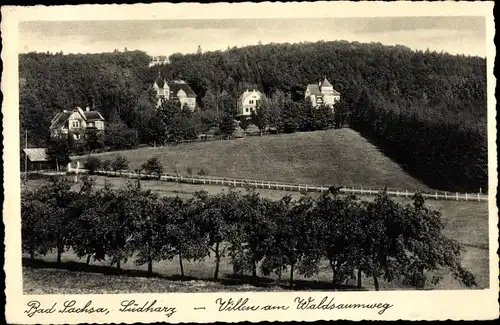 Ak Bad Sachsa im Harz, Villen am Waldsaumweg, Panorama