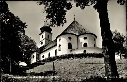 Ak Siegsdorf in Oberbayern, Kloster Maria Eck, Wallfahrtskirche, Außenansicht