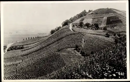 Ak Remich an der Mosel Luxemburg, Les vignobles du Hebierg