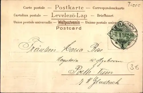 Präge Litho Mädchen und Katze, Fächer