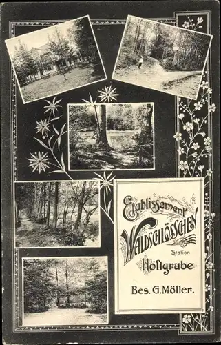Ak Höftgrube Wingst in Niedersachsen, Etablissement Waldschlösschen