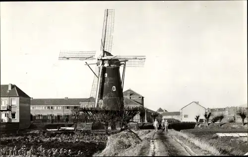 Ak Dordrecht Südholland Niederlande, Molen Willem II.