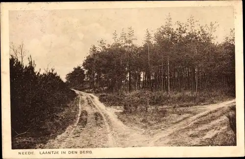 Ak Neede Berkelland Gelderland, Laantje in den Berg