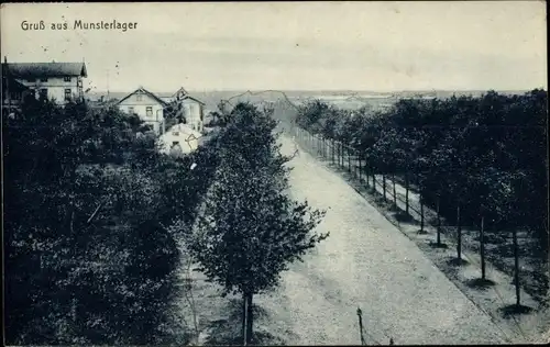 Ak Munster im Heidekreis, Truppenübungsplatz Munsterlager, Allee