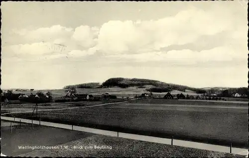 Ak Wellingholzhausen Melle in Niedersachsen, Blick zum Beutling, Panorama