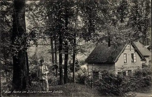 Ak Kiel Schleswig Holstein, Partie im Düsternbrooker Gehölz