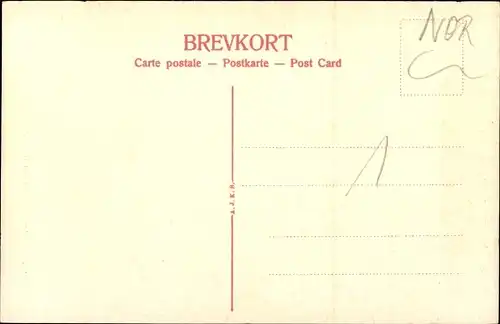 Ak Norwegen, Bergensbanen, Sverrestien