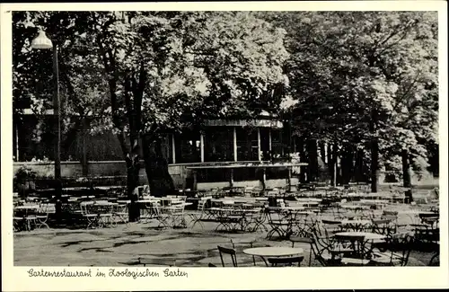 Ak Berlin Tiergarten, Partie im Gartenrestaurant im Zoologischen Garten, Budapester Straße 20