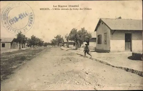 Ak Meknès Marokko, Le Maroc Illustre, L'Allee centrale du Camp des Oliviers