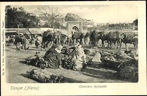 Ak Tanger Marokko, Caravane reposante