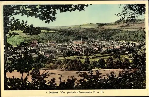 Ak Diekirch Luxemburg, Vue generale