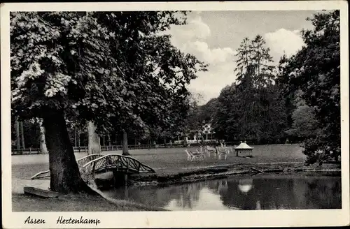 Ak Assen Drenthe Niederlande, Hertenkamp