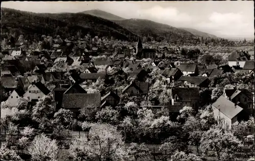 Ak Seeheim Jugenheim an der Bergstraße, Panorama