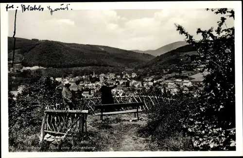 Ak Plettenberg im Sauerland Westfalen, Blick vom Grünenberg, Aussichtspunkt