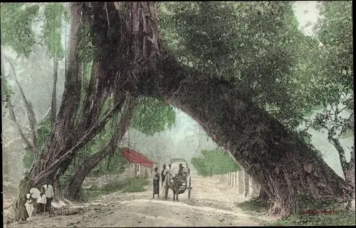 Ak Kalutara Sri Lanka Ceylon, Dorfpartie