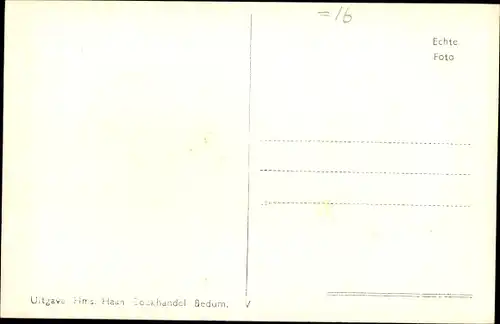 Ak Bedum Groningen Niederlande, Panorama