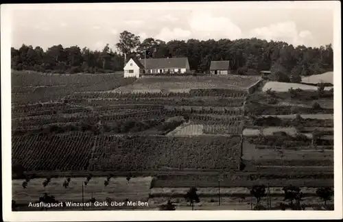 Ak Golk Diera Zehren in Sachsen, Winzerei