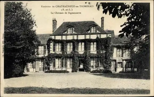Ak Châteauneuf en Thymerais Eure et Loir, Le Château de Bigeonnette
