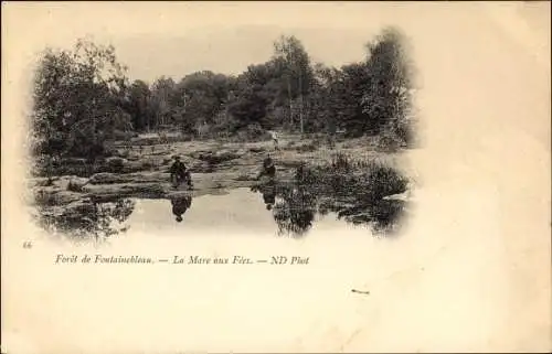 Ak Fontainebleau Seine et Marne, Foret, La Mare aux Fees