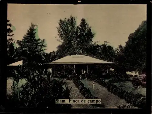 Foto Siam Thailand, Finca de campo