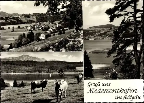 Ak Niedersonthofen Waltenhofen im Oberallgäu, Ortsansicht, Kühe