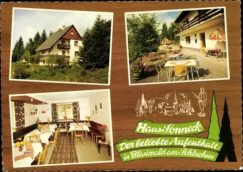 Ak Blasiwald im Schwarzwald, Haus Sonneck