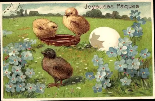 Präge Ak Glückwunsch Ostern, Joyeuses Paques, Küken, Eierschale, Vergissmeinnicht