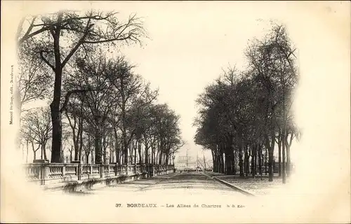 Ak Bordeaux Gironde, Les Allees de Chartres