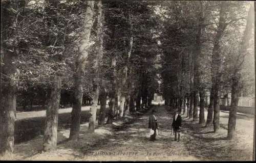 Ak Maisons Laffitte Yvelines, Le Parc, Avenue