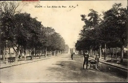 Ak Dijon Côte d'Or, Les Allees du Parc