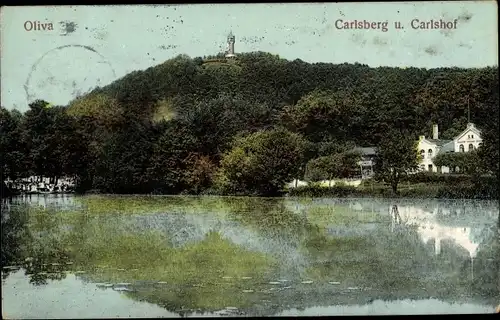 Ak Oliva Gdańsk Danzig, Carlsberg, Carlshof