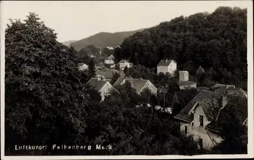 Foto Ak Falkenberg in der Mark, Ortspartie