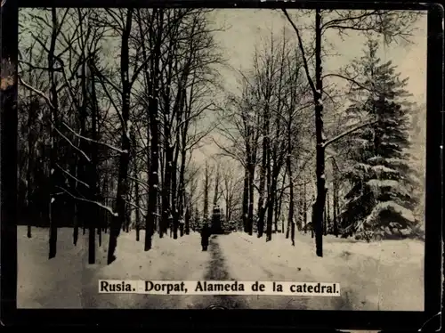 Foto Dorpat Estland, Rusia, Alameda de la catedral