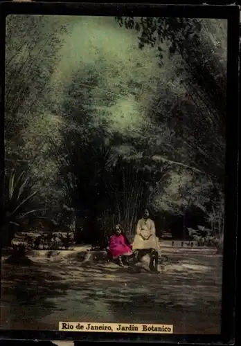 Foto Rio de Janeiro Brasilien, Jardin Botanico