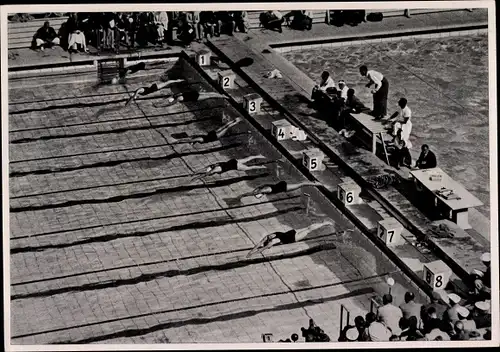 Sammelbild Olympia 1936, 100m Freistilschwimmen der Frauen