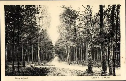 Ak Montferland Gelderland Niederlande, Laan n. 't Hotel