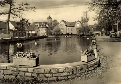 Ak Neustadt an der Orla, Am Gamsenteich, Schwäne