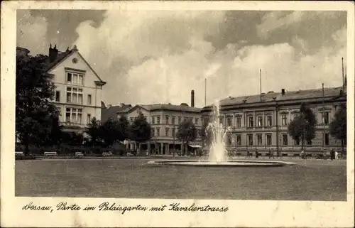 Ak Dessau in Sachsen Anhalt, Partie im Palaisgarten mit Kavalierstraße