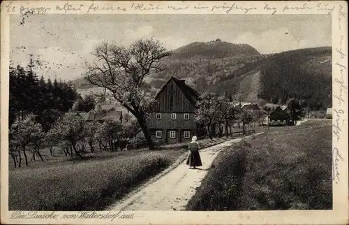 Ak Waltersdorf Großschönau Oberlausitz, Lausche, Die Lausche von Waltersdorf aus