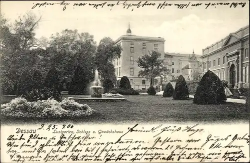 Ak Dessau in Sachsen Anhalt, Lustgarten, Schloss, Gewächshaus, Springbrunnen